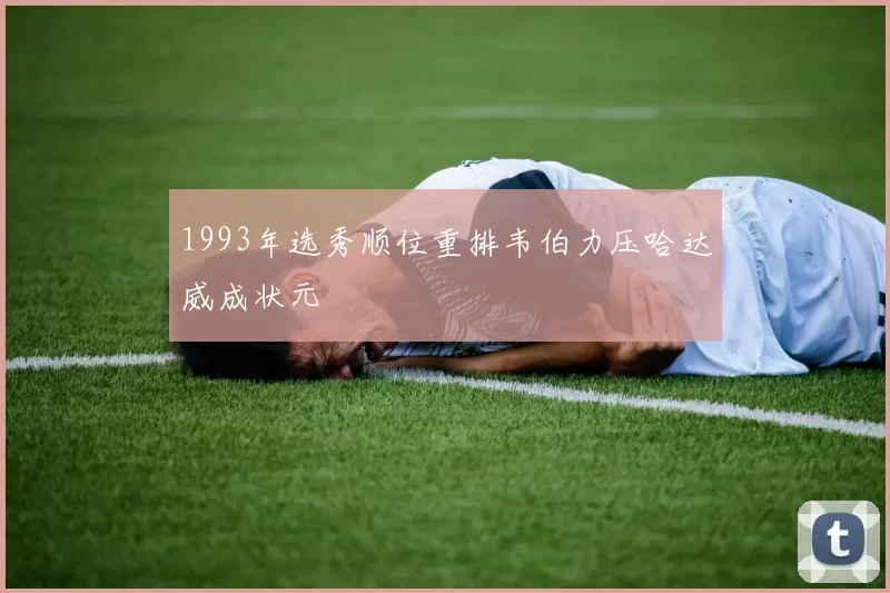 1993年选秀顺位重排韦伯力压哈达威成状元
