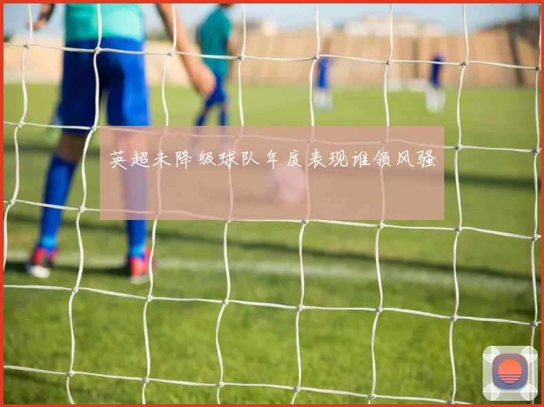英超未降级球队年度表现谁领风骚