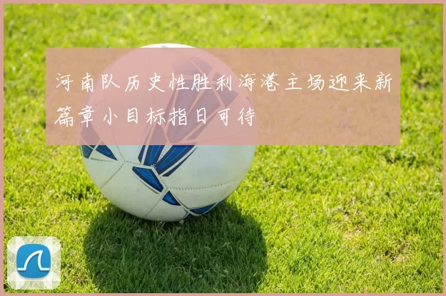 河南队历史性胜利海港主场迎来新篇章小目标指日可待