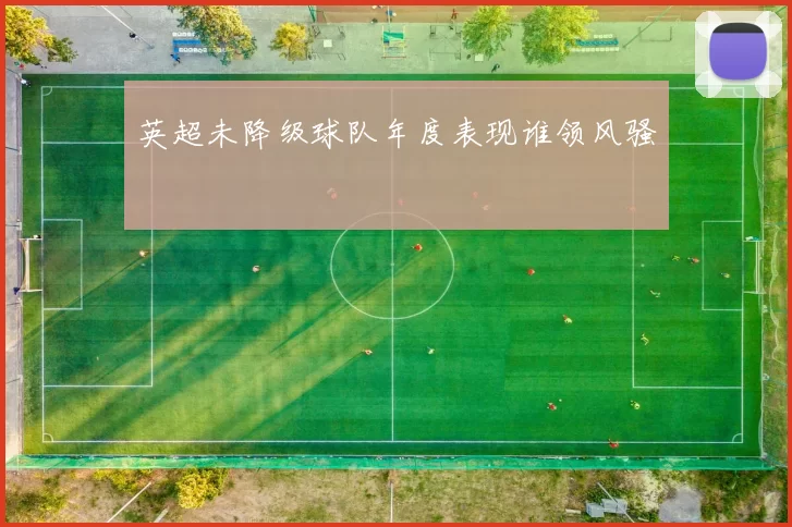 英超未降级球队年度表现谁领风骚