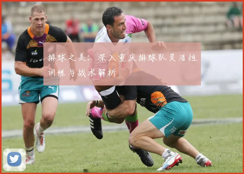 排球之美:深入重庆排球队灵活性训练与战术解析