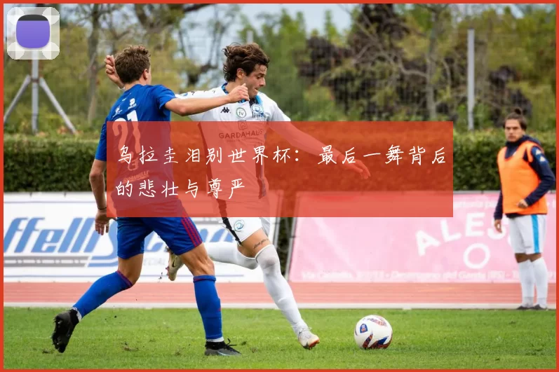 乌拉圭泪别世界杯：最后一舞背后的悲壮与尊严