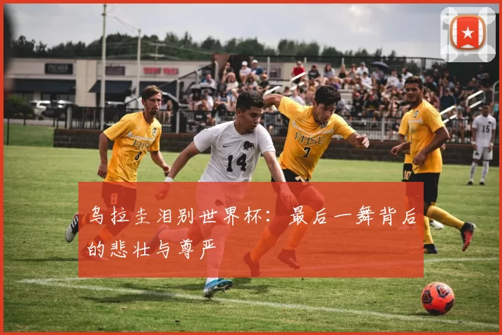 乌拉圭泪别世界杯：最后一舞背后的悲壮与尊严