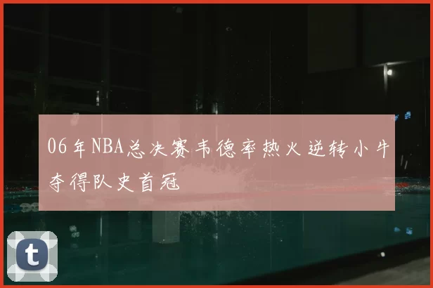 06年NBA总决赛韦德率热火逆转小牛夺得队史首冠