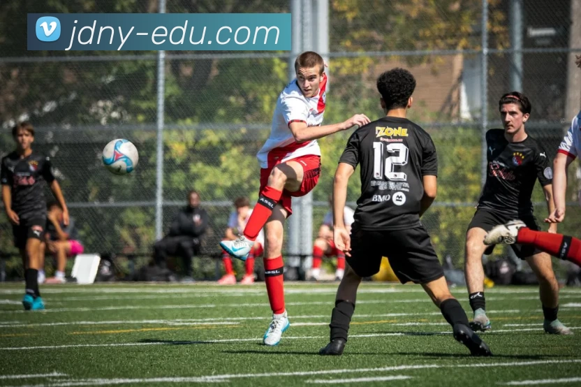 kaiyun平台生态图